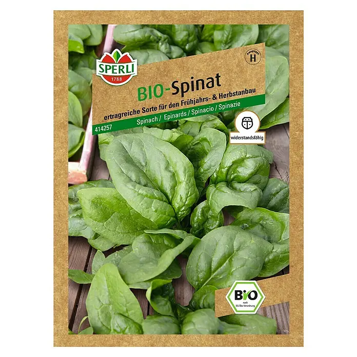 Sperli Gemüsesamen Spinat 'Corvette' - Spinacia oleracea, Erntezeit: Mai - Samenpackung Bio-Spinat von Sperli, ertragreiche Sorte für Frühjahrs- und Herbstanbau, widerstandsfähig und zertifiziert nach EG-Öko-Verordnung.