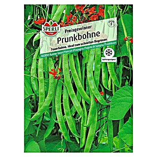 Sperli Gemüsesamen Prunkbohne (Preisgewinner, Phaseolus coccineus, Erntezeit: Juli)