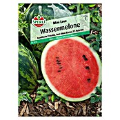 Sperli Obstsamen Wassermelone Mini Love (Citrullus lanatus, Erntezeit: August) | BAUHAUS
