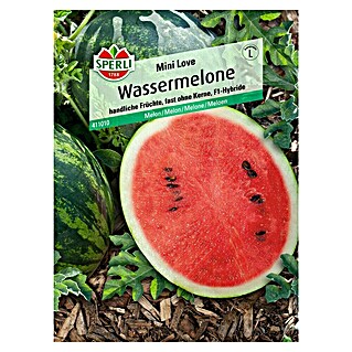 Sperli Obstsamen Wassermelone Mini Love (Citrullus lanatus, Erntezeit: August)