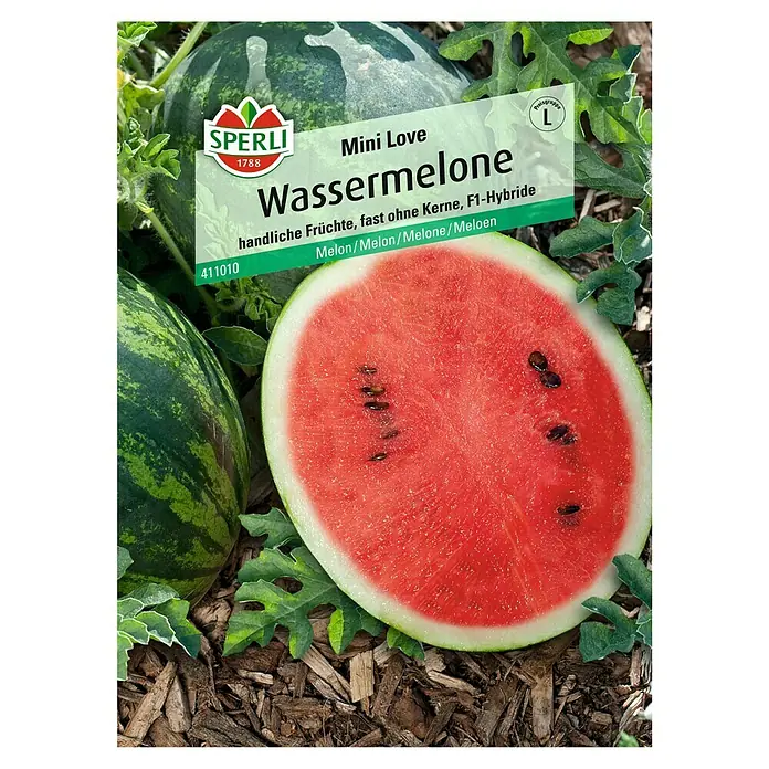 Sperli Obstsamen Wassermelone Mini Love - Citrullus lanatus, Erntezeit: August - Abbildung einer "Mini Love Wassermelone" von Sperli, einer kernarmen F1-Hybride mit handlichen Früchten.