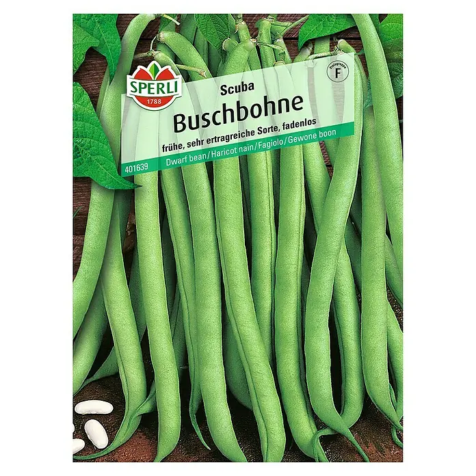 Sperli Gemüsesamen Buschbohne - Scuba, Phaseolus vulgaris var. nanus, Erntezeit: Juli - Bild einer Packung Scuba Buschbohnen-Samen von Sperli. Die Sorte ist frühreif und sehr ertragreich, die Hülsen sind fadenlos.