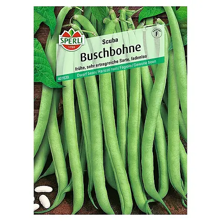 Sperli  Gemüsesamen Buschbohne