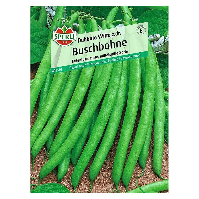 Sperli Gemüsesamen Buschbohne - Dubbele Witte, Phaseolus vulgaris var. nanus, Erntezeit: Juli - Abbildung einer Samenpackung „Dubbele Witte z.dr. Buschbohne“ der Marke Sperli, die eine ertragreiche Sorte von Buschbohnen verspricht.