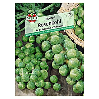 Sperli Gemüsesamen Rosenkohl (Brassica oleracea var. gemmifera, Erntezeit: September - Dezember)