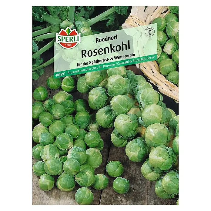 Sperli Gemüsesamen Rosenkohl - Brassica oleracea var. gemmifera, Erntezeit: September - Produktabbildung von "Roodnerf Rosenkohl"-Samen von Sperli. Ideal für die späte Herbst- und Winterernte.