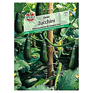 Sperli Gemüsesamen Zucchini (Quine, Cucurbita pepo, Erntezeit: Juni)