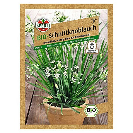 Sperli Kräutersamen Bio Schnittknoblauch (Allium tuberosum, Saatzeit: April, Erntezeit: Ganzjährig)