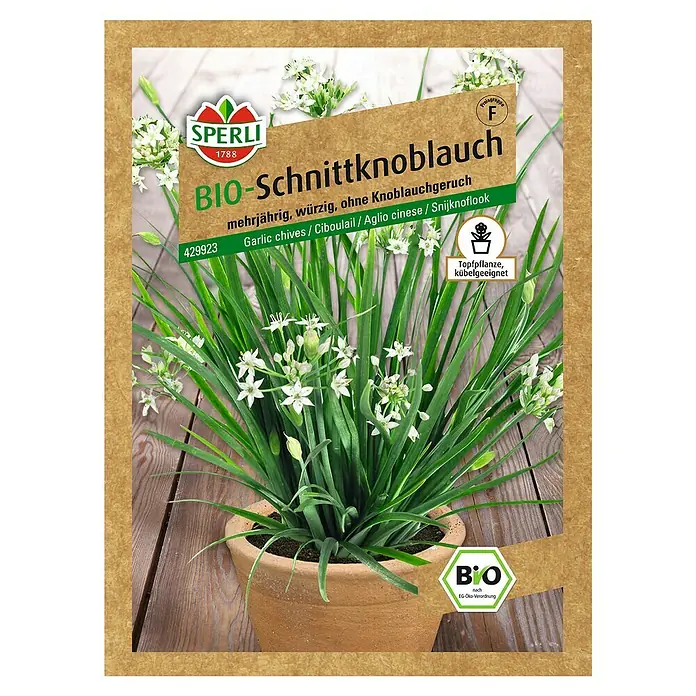 Sperli Kräutersamen Bio Schnittknoblauch - Allium tuberosum, Saatzeit: April, Erntezeit: Ganzjährig - Bild der Samenpackung für Bio-Schnittknoblauch, mehrjährig, würzig und ohne Knoblauchgeruch, von Sperli, ideal für Topf- und Kübelpflanzen.