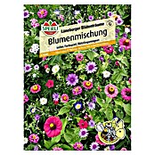 Sperli Blumensamenmischung Lüneburger Blütenträume (Verschiedene Sorten, Mehrfarbig, 3 m²) | BAUHAUS