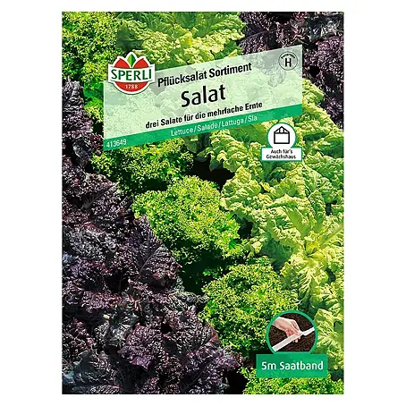 Sperli  Salatsamen Pflücksalat