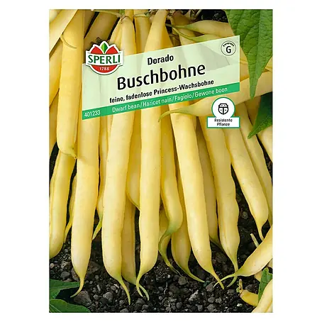 Sperli  Gemüsesamen Buschbohne