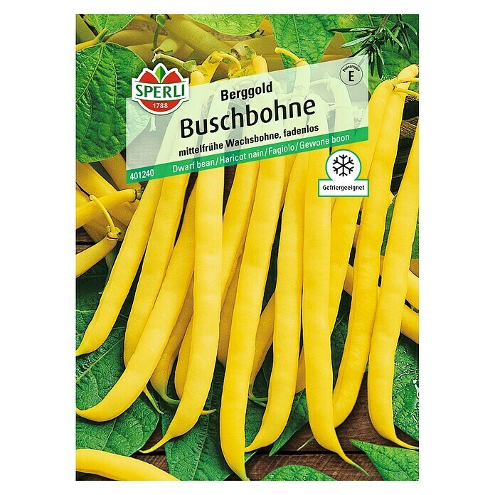 Sperli Gemüsesamen Buschbohne (Berggold, Phaseolus vulgaris var. nanus, Erntezeit: Juli) | BAUHAUS