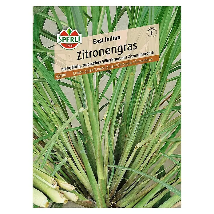 Sperli Kräutersamen Zitronengras - Cymbopogon flexuosus, Erntezeit: Ganzjährig - Zitronengras "East Indian" von Sperli, mehrjähriges, tropisches Würzkraut mit frischem Zitronenaroma für Küche und Garten.