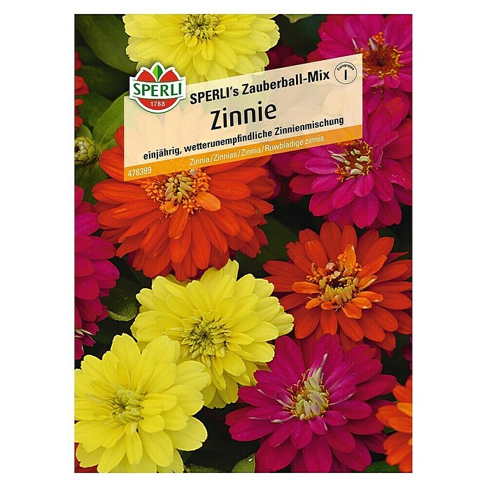 Sperli Blumensamen Zinnie Zauberball (Zinnia elegans, Mehrfarbig) | BAUHAUS