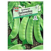 Sperli Gemüsesamen Zuckererbse (Pisum sativum, Erntezeit: Juni) | BAUHAUS