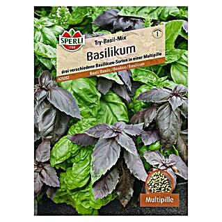Sperli Kräutersamen Basilikum (Try-Basil-Mix, Ocimum basilicum, Saatzeit: April, Erntezeit: Juni)