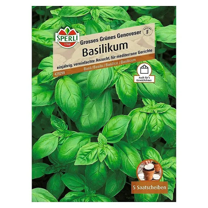 Sperli Kräutersamen Basilikum - Genoveser, Ocimum basilicum, Saatzeit: Mai, Erntezeit: Ganzjährig - Samenpackung 'Grosses Grünes Genoveser Basilikum' von Sperli, ideal für mediterrane Gerichte und den Anbau im Gewächshaus.
