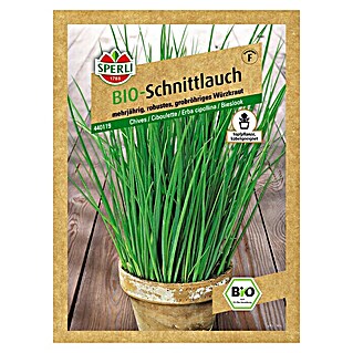 Sperli Kräutersamen Schnittlauch (Bio)