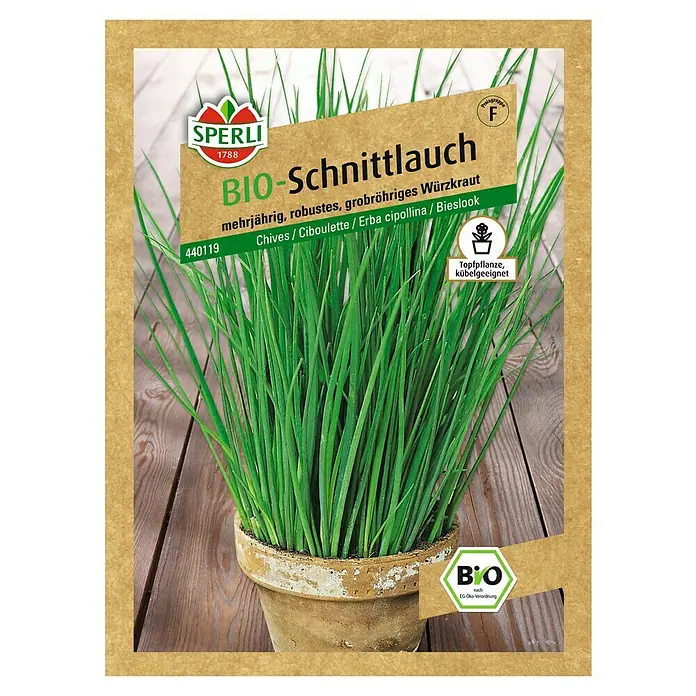 Sperli Kräutersamen Schnittlauch - Bio, Allium schoenoprasum, Saatzeit: April, Erntezeit: Ganzjährig - Bild einer Samenpackung für Bio-Schnittlauch von Sperli, mehrjährig und robust, ideal für Topf- und Kübelbepflanzung.