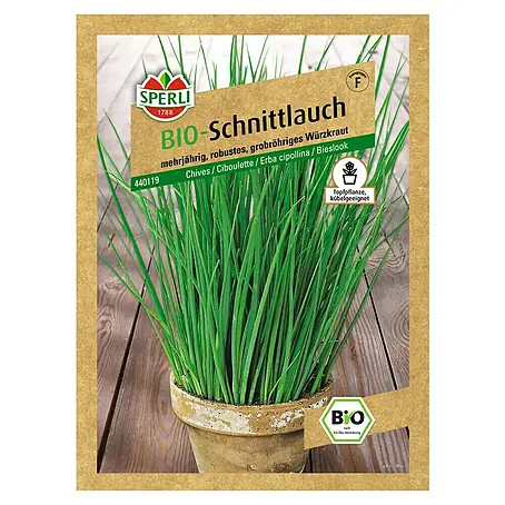 Sperli  Kräutersamen Schnittlauch