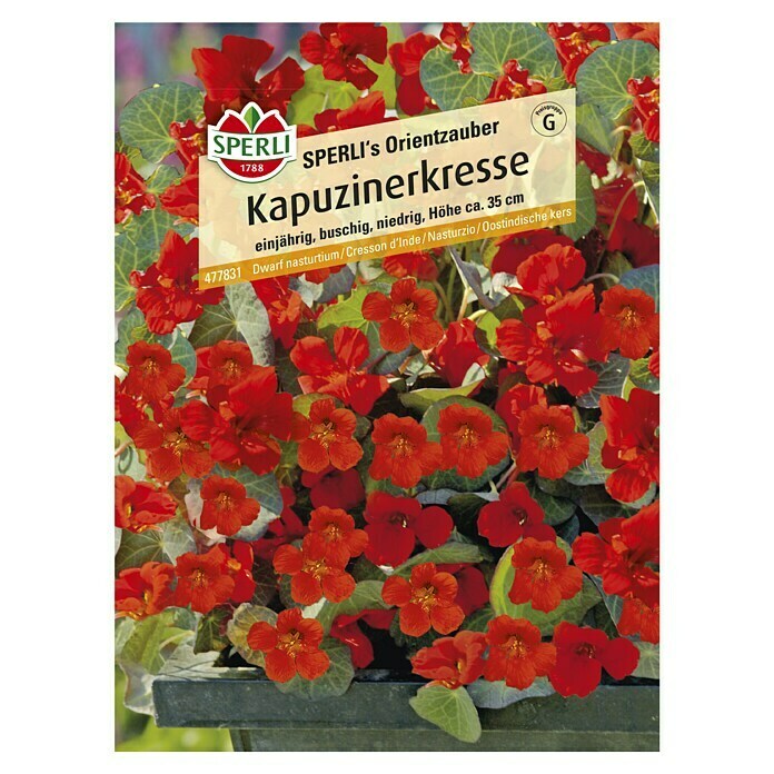 Sperli Kräutersamen Kapuzinerkresse (Tropaeolum minus, Saatzeit: Mai) | BAUHAUS