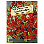 Sperli Kräutersamen Kapuzinerkresse (Tropaeolum minus, Saatzeit: Mai) | BAUHAUS