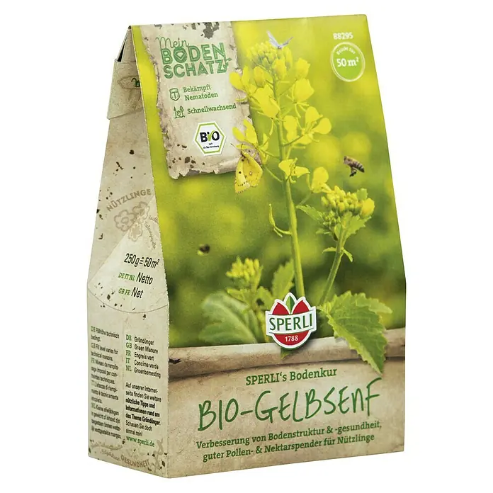 Gründüngung BIO-Gelbsenf - Sinapis alba, 50 m² - SPERLI's BIO-Gelbsenf: Bodenkur zur Verbesserung der Bodenstruktur und -gesundheit, mit Pollen- & Nektarspender für Nützlinge.