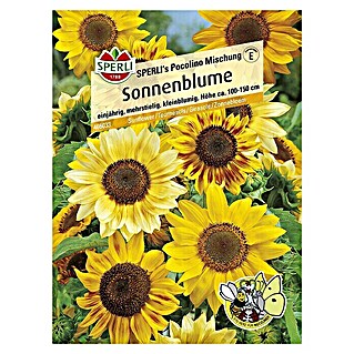 Sperli Blumensamen Sonnenblume (Picolinomix, Blütezeit: Juli)