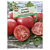 Sperli Gemüsesamen Tomate (Honey Moon, Solanum lycopersicum, Erntezeit: Juli) | BAUHAUS