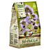Groenbemester Biologische Phacelia 