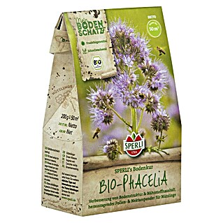 Gründüngung BIO-Phacelia (Phacelia tanacetifolia, 50 m²)