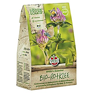 Gründüngung BIO-Rotklee (Trifolium pratense, 60 m²)