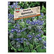 Sperli Gemüsesamen Boretsch (Borago officinalis, Erntezeit: Mai) | BAUHAUS