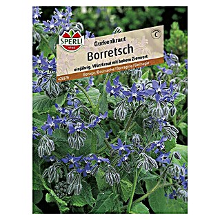 Sperli Gemüsesamen Boretsch (Borago officinalis, Erntezeit: Mai)