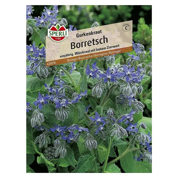 Sperli Gemüsesamen Boretsch - Borago officinalis, Erntezeit: Mai - Das Bild zeigt eine Samenpackung Borretsch von Sperli, einer einjährigen Würzpflanze mit dekorativen blauen Blüten.