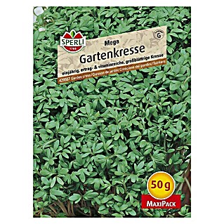 Sperli Kräutersamen Gartenkresse (Mega - Maxi Pack, Saatzeit: April, Erntezeit: Ganzjährig)