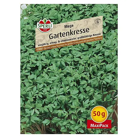 Sperli  Kräutersamen Gartenkresse