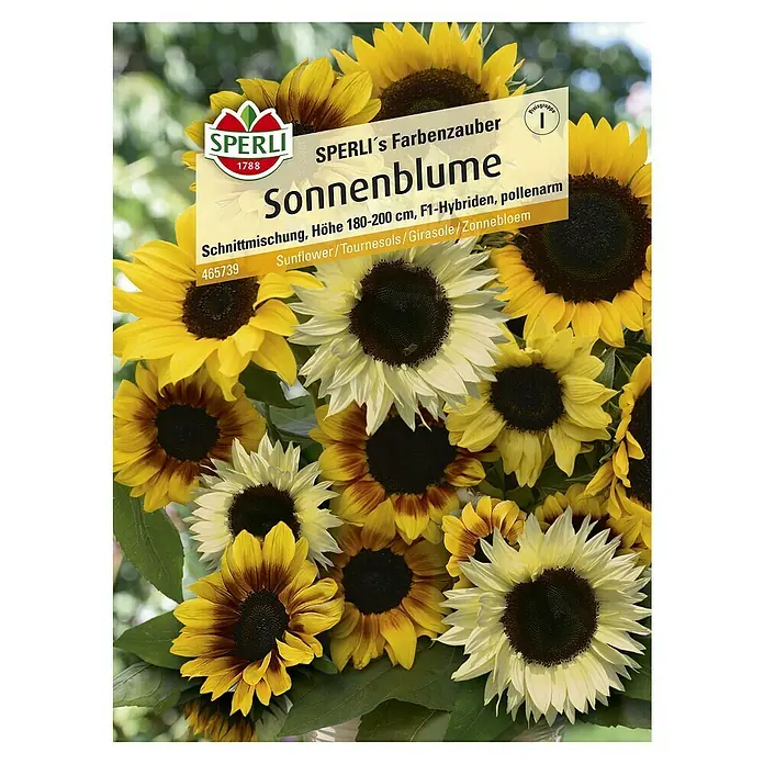 Sperli Blumensamen Sonnenblume - Farbenzauber, Helianthus annuus - SPERLI's Farbenzauber Sonnenblume: Eine farbenfrohe Schnittmischung mit einer Höhe von 180-200 cm, ideal für vielfältige Gartengestaltungen.