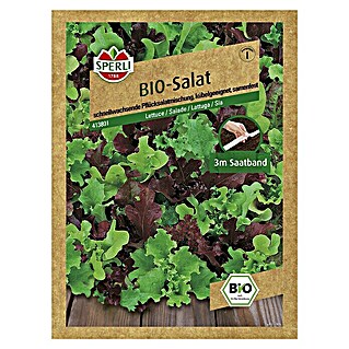 Sperli Salatsamen Bio Salat 'Babyleaf' Saatband (Lactuca sativa, Erntezeit: Mai)