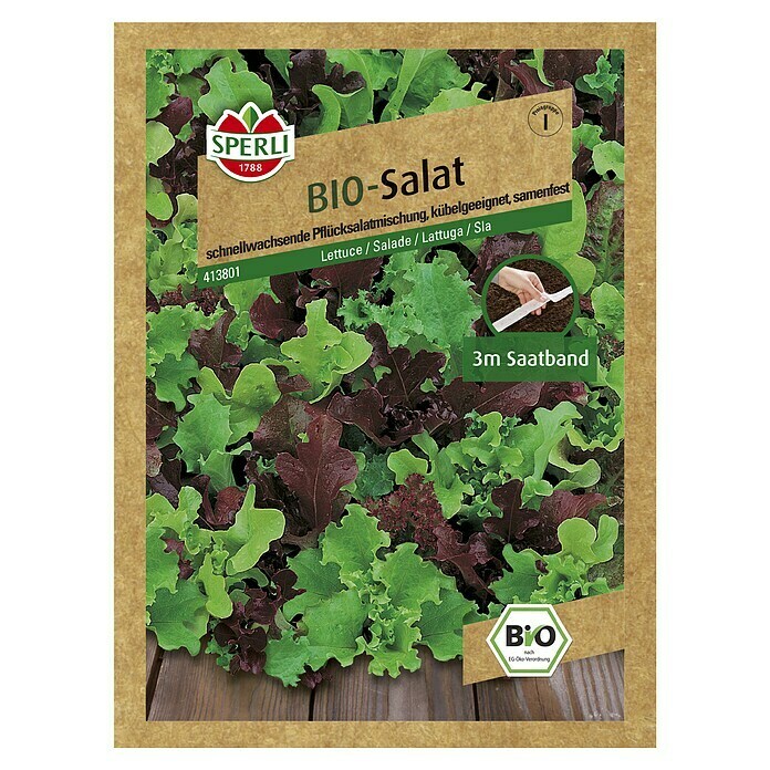 Sperli Salatsamen Bio Salat 'Babyleaf' SaatbandLactuca sativa, Erntezeit: Mai - Oktober Front View