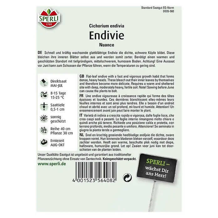 Sperli Salatsamen Endivie - Cichorium endivia, Erntezeit: Mai - Abbildung des Produkts Endivie Nuance von Sperli, ein schnell wachsendes, glattblättriges Gemüse für den Garten.