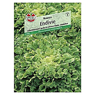 Sperli Salatsamen Endivie (Cichorium endivia, Erntezeit: Mai)