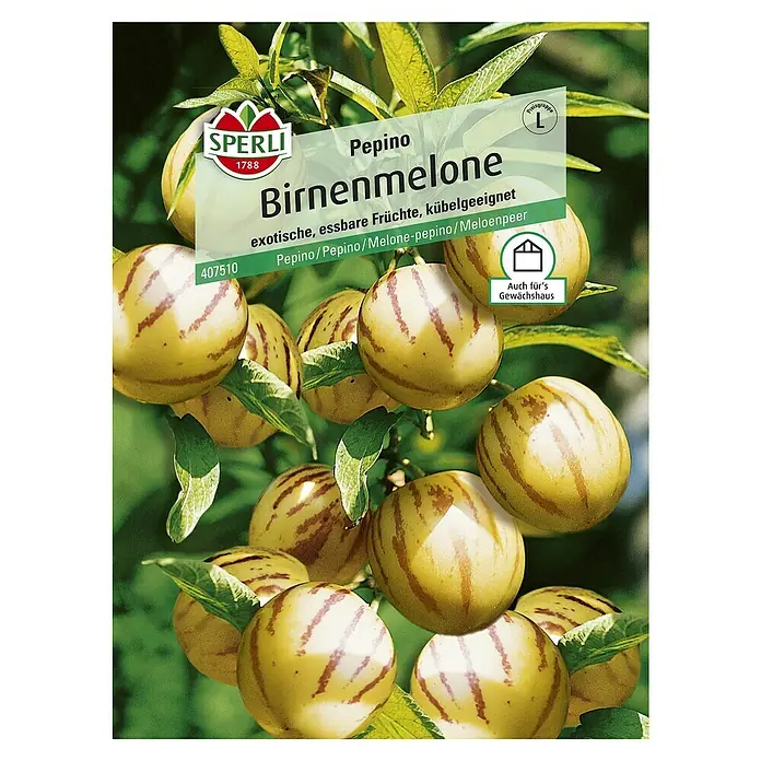 Sperli Obstsamen Birnenmelone - Erntezeit: August - Samenpackung Birnenmelone von Sperli. Exotische Früchte für Kübel und Gewächshaus, Sorte Pepino.