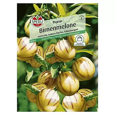 Sperli  Obstsamen Birnenmelone