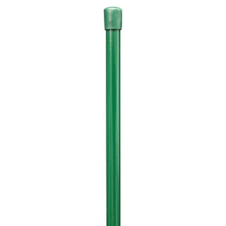 Alberts  Geflechtspannstab
