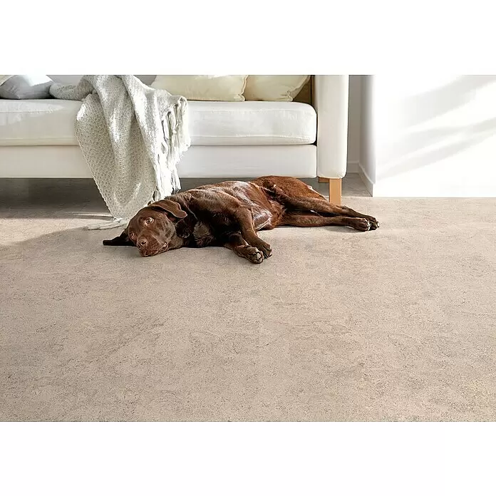 Corklife Studiostyle Korkboden - Abrantes Weiß, 905 x 295 x 10,5 mm - Hellbeige melierter Bodenbelag mit einem Hund, der neben einem weißen Sofa liegt.