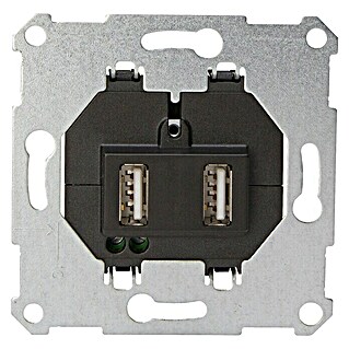 Kopp Technik-Center Stopcontactinzet met USB 2-voudig (2 voudig, Kunststof, IP20)