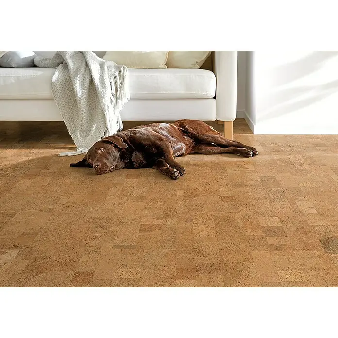 Corklife Studiostyle Korkboden - Mora, 905 x 295 x 10,5 mm - Entspannen Sie sich auf einem Korkboden! Ein brauner Labrador liegt entspannt auf einem Boden aus Korkfliesen, neben einem weißen Sofa.