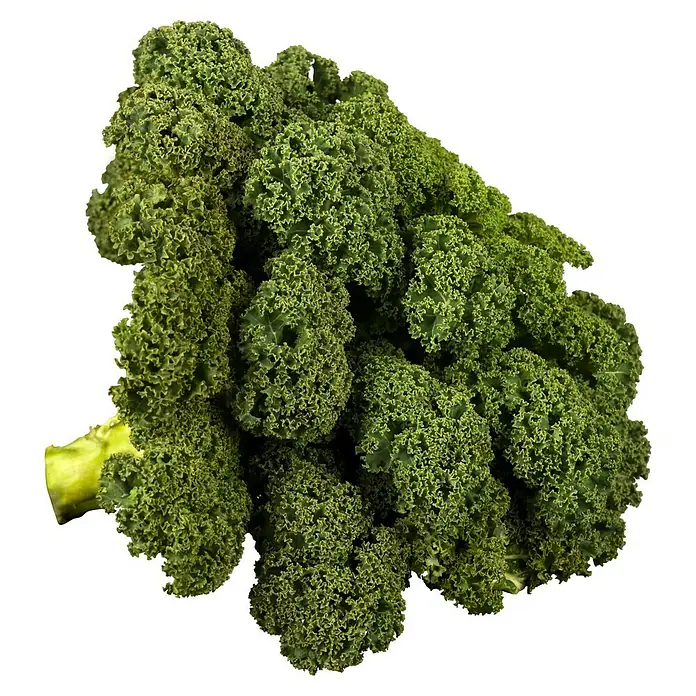 Piardino Kale - Brassica Oleracea Var. Sabelica - Un manojo fresco de col rizada sobre un fondo negro. Esta verdura de hoja verde es una adición saludable a cualquier comida.